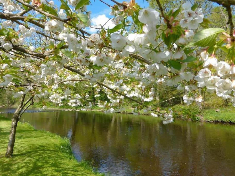 Vakantiehuis Country On Private Estate